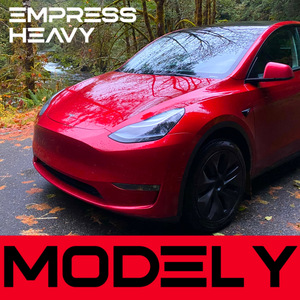 Model Y