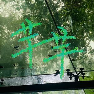 芊芊（对唱版）