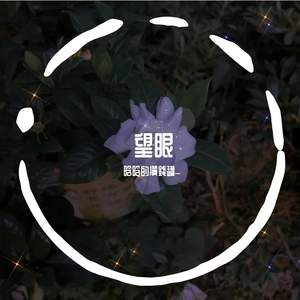 你的姑娘_九妹听戏.