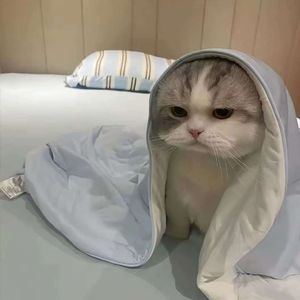 The night without you