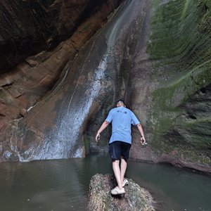 春风回望（有气无力版）