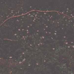 cold april morning (remaster)