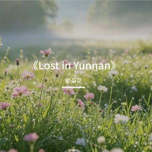 《Lost in Yunnan》