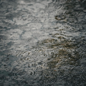 Sensory (Rain)