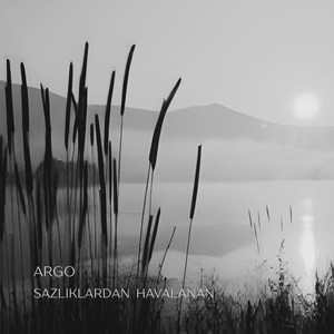 Sazlıklardan Havalanan