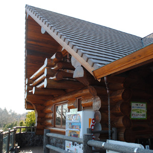 思い出の一欠片