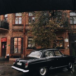 Souls On The Horizon