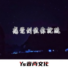 感觉对了你就摇 (DJ版)