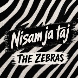Nisam ja taj