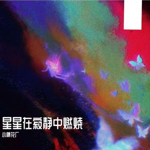 星星在寂静中燃烧