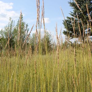 匆匆而过却难忘