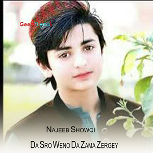 Da Sro Weno Da Zama Zergey