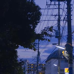 幼稚园杀手-世界很大我很小remix（尾八 remix）