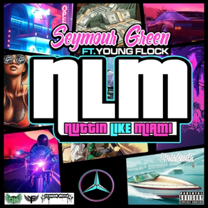NLM (Nuttin Like Miami) [feat. Young Flock]