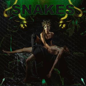 Snakes (feat. Magniffy)