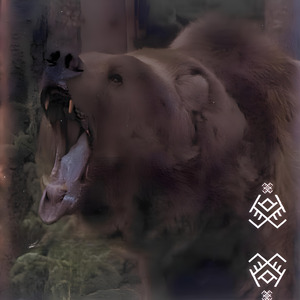 Сонца у змроку