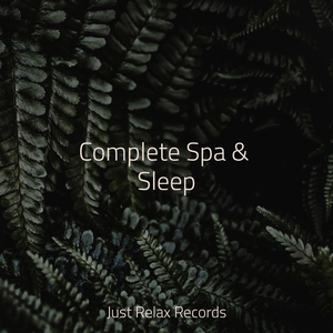 Silent Summit Solitude