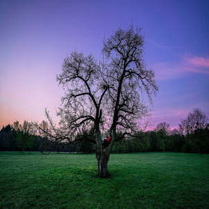 Mały, zgubiony, nieśmiały