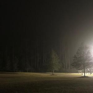 SGD9 SAME (NEGATIVE CREEPER)