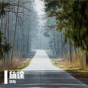 旅途人生