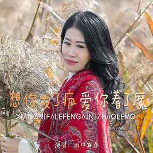 想你发了疯爱你着了魔