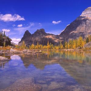 如果我们不再计较过去重新开始