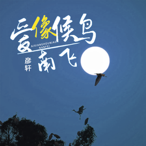 爱像候鸟南飞