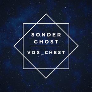 Vox_Chest