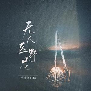 无人区野花 (0.9X )