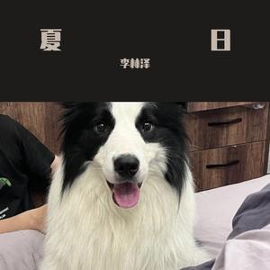 徐秉龙-年年（李林泽 remix）