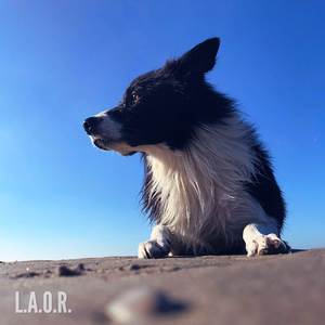 Little Adventures Of Rex