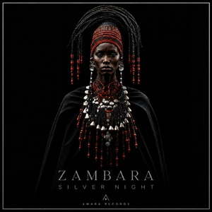 Silver Night (Tribal Afro House)