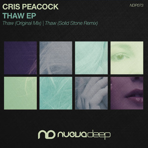 Thaw (Solid Stone Remix)