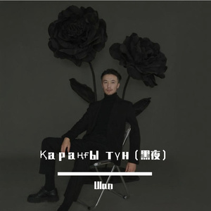 Қараңғы түн（黑夜）