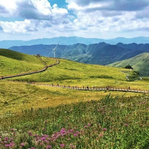 我这一块钱丢哪里了(抖音热搜版)