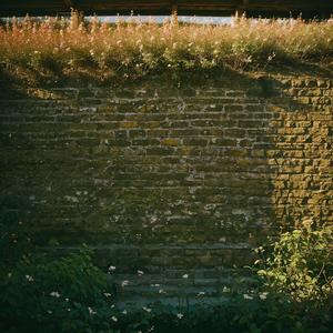 留别广陵诸公一作留别邯郸故人