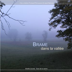 Des bois et de l'eau