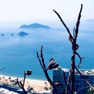 希望你平凡地度过这一生