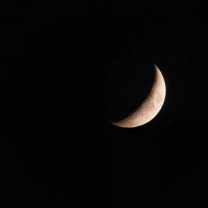 SNØW-do you really mean thatThe（鹿Nero / joysaaaa remix）