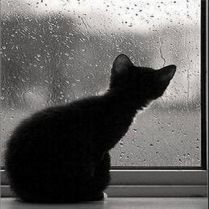 下雨天（翻自 芝麻Mochi）