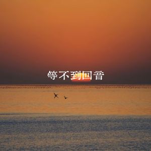 等不到回音
