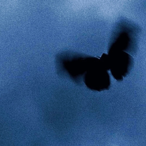 再说一千遍 demo