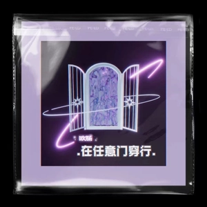 在任意门穿行（DJ黄周豪降速版）