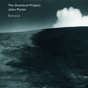 Anonymous: Pulcherrima rosa