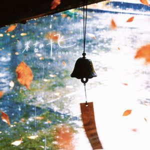 枯叶飞（伴奏）