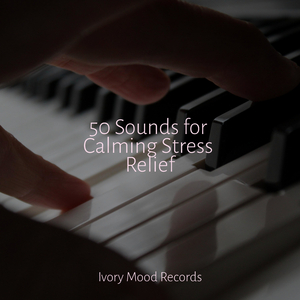 Midnight Mochaccino Dreams