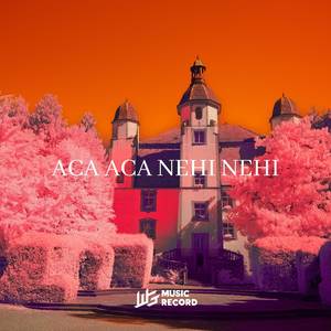 ACA ACA NEHI NEHI (Instrumental)