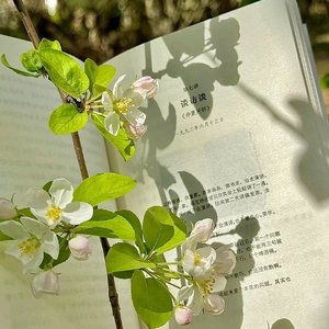 我身上有一个不可战胜的夏天