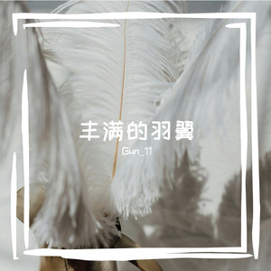丰满的羽翼