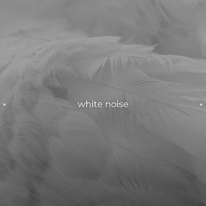 White Noise Black Screen